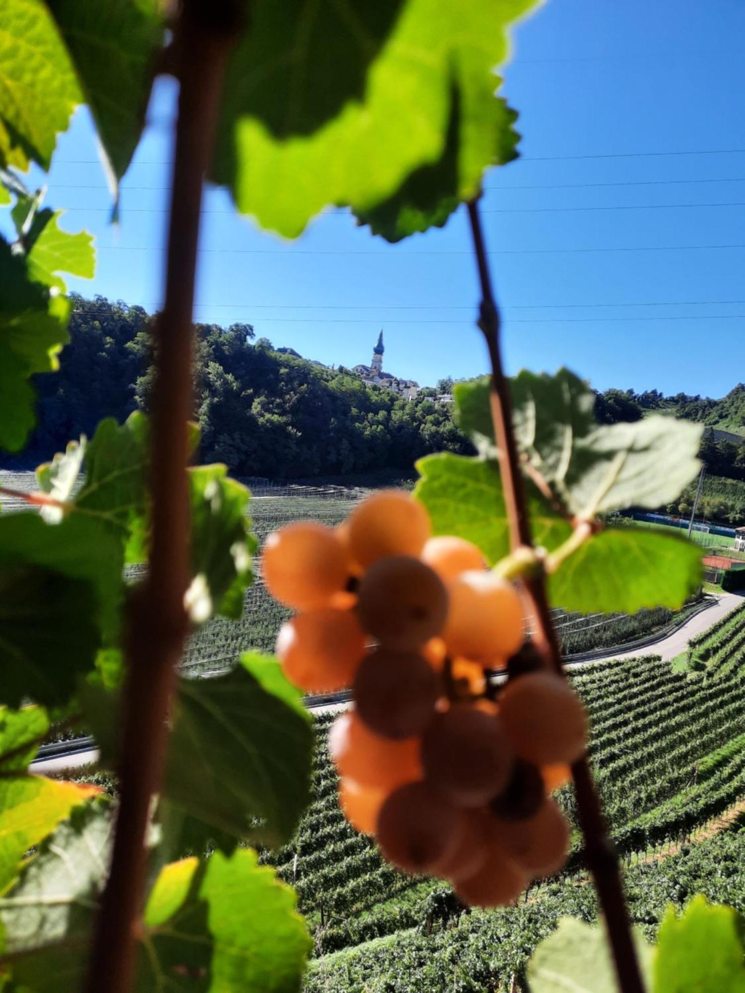 Weinhof Kager Daire Missiano Dış mekan fotoğraf