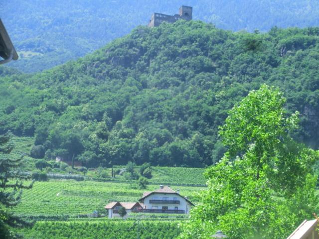 Weinhof Kager Daire Missiano Dış mekan fotoğraf