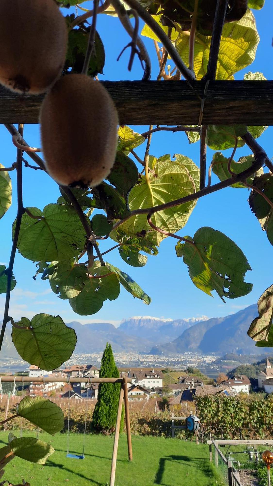 Weinhof Kager Daire Missiano Dış mekan fotoğraf